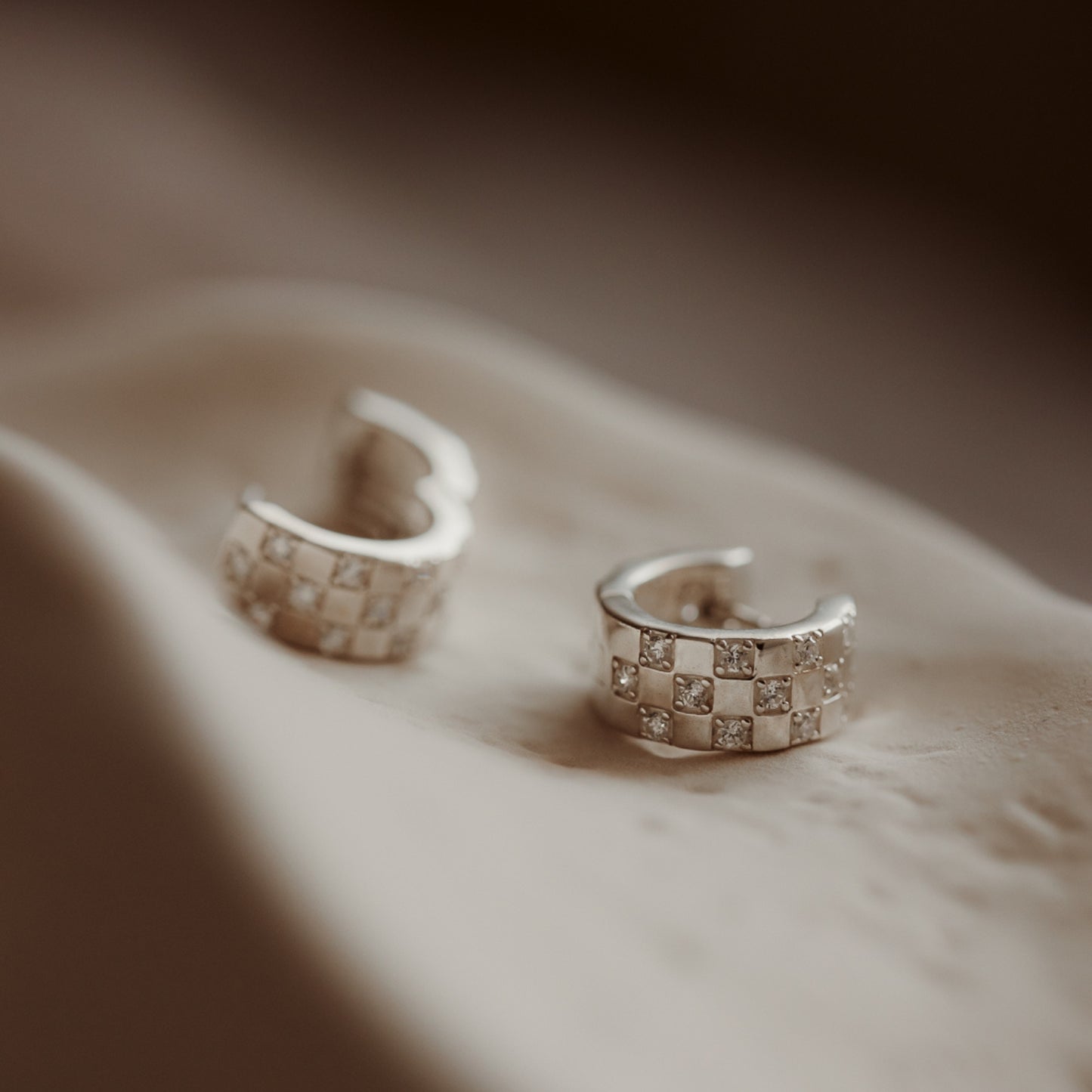 Circle Silver Earrings - Zirconium