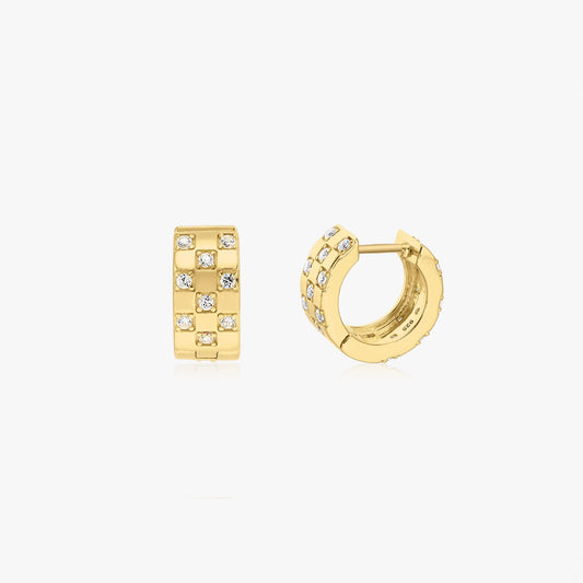 Golden Circle Silver Earrings - Zirconium