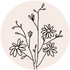 Aster