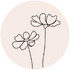 Cosmos