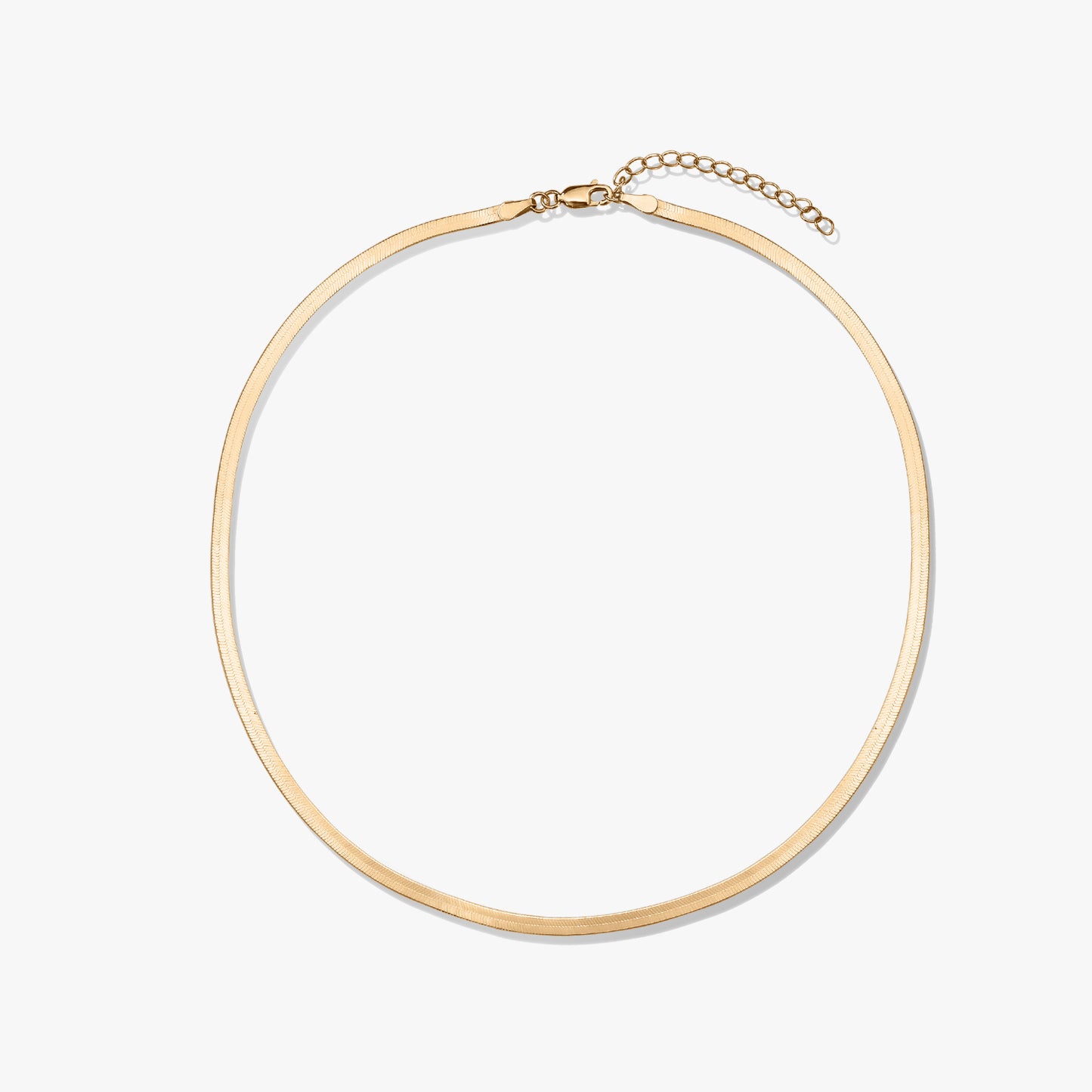 Golden herringbone necklace on a white background.
