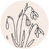 Snowdrop